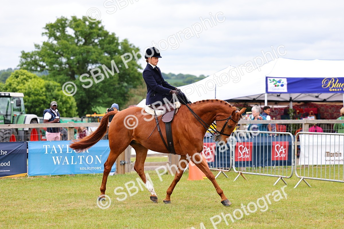 SBM_02928 - Class 9-11 Side Saddle including LIHS Rising Star Ladies Show Horse