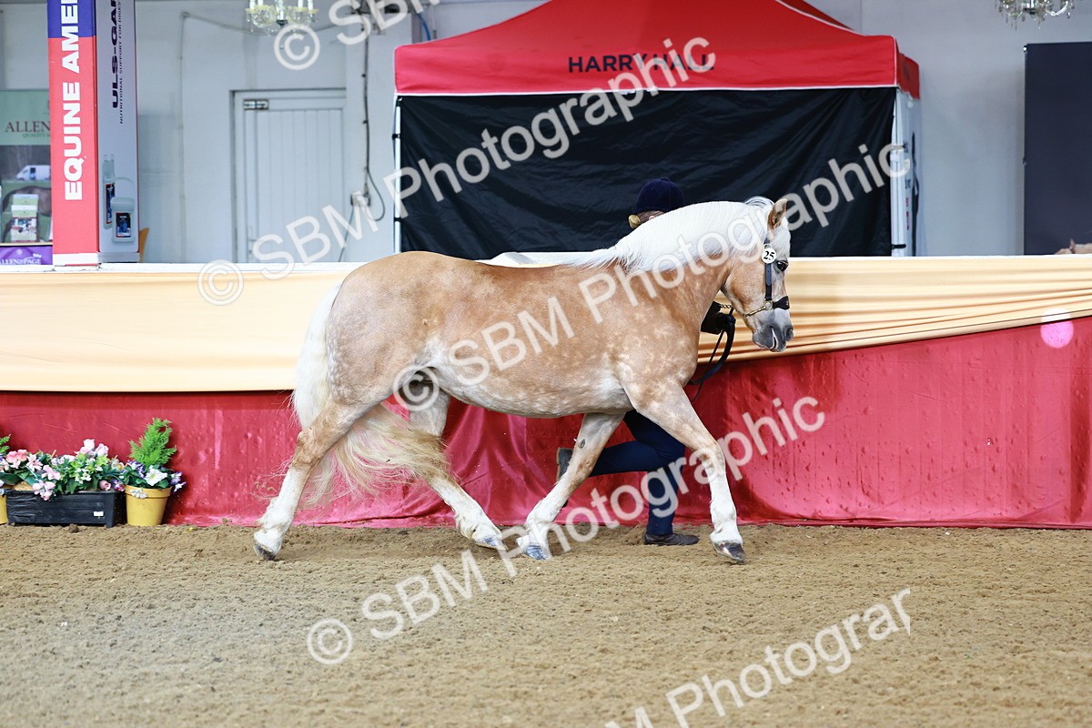 SBM_21956 - Class 901 - Supreme Final - IH  Diamond