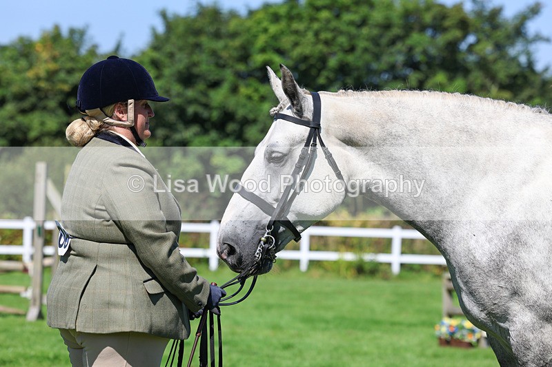 3E7A8477 - Class 4: Novice working Hunter