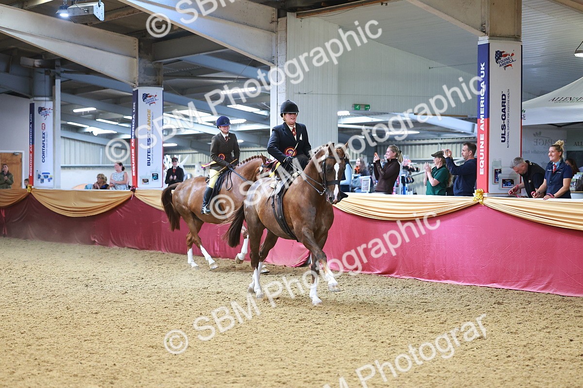 SBM_12712 - Class 103 - HOYS Veteran Qualifier - Ridden Pre Vet
