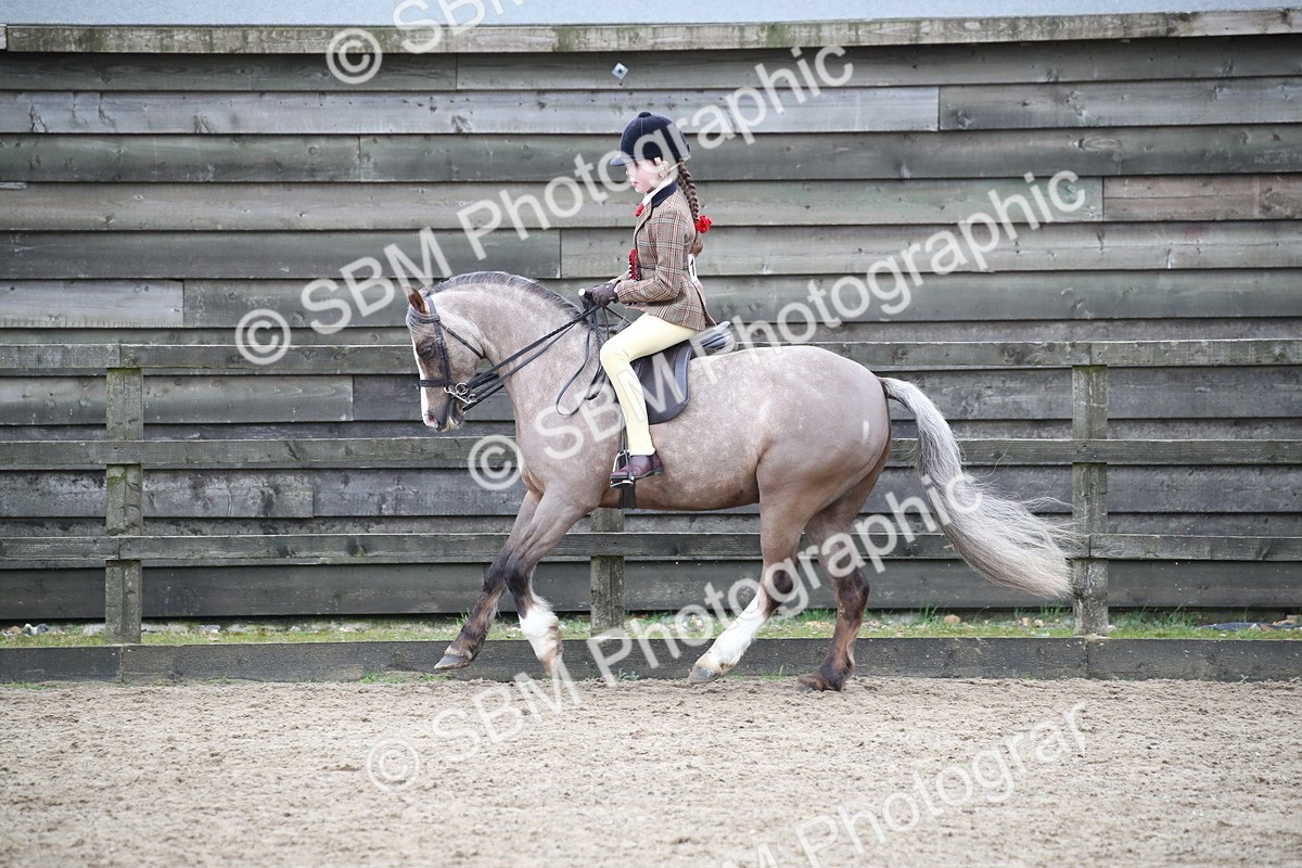 SBM_007081 - Class 10-13 - RIHS Small Large Breeds
