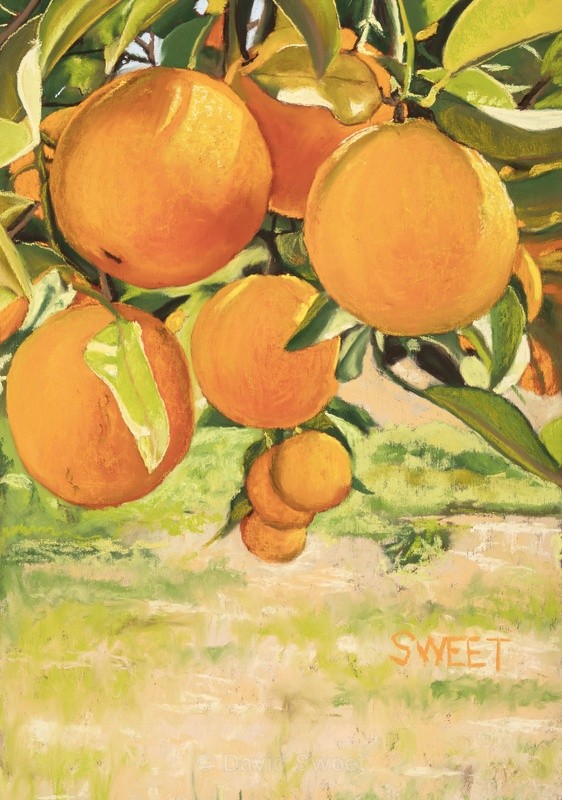 Orangerie - Paintings