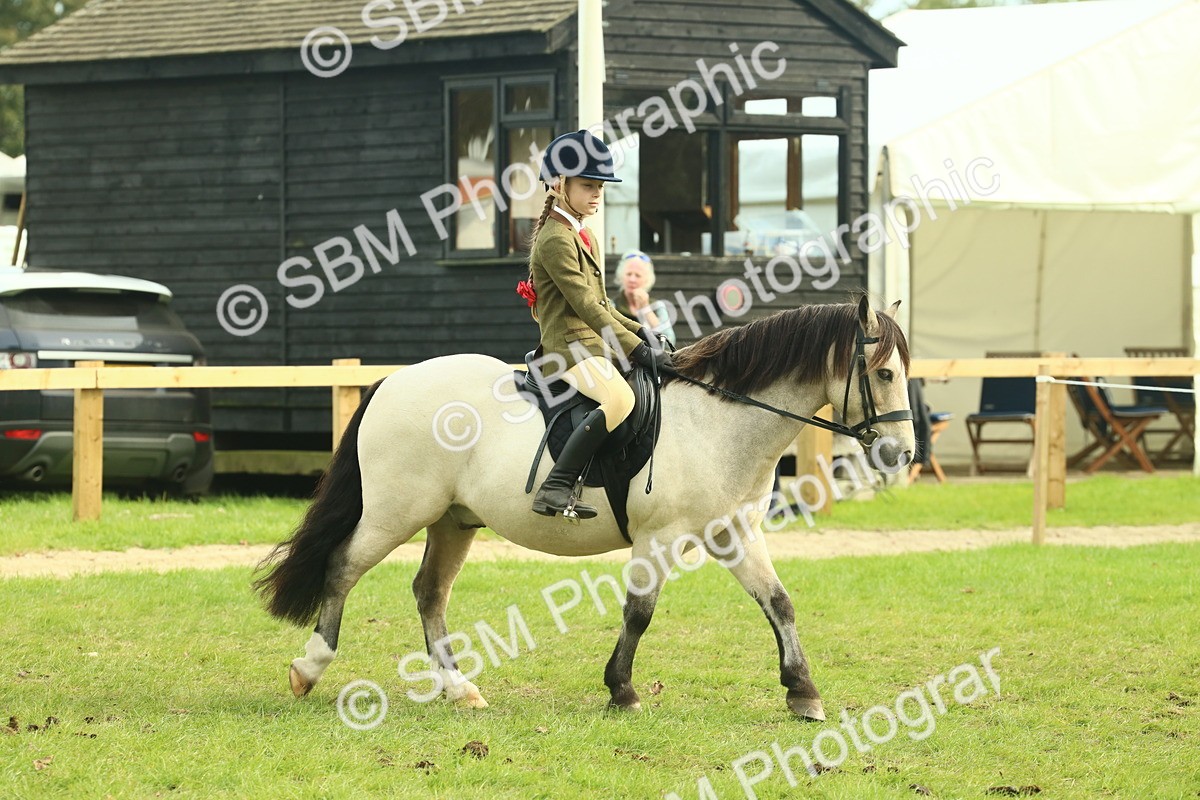 SBM_69772 - S59 - Mountain & Moorland Ridden Small Breeds