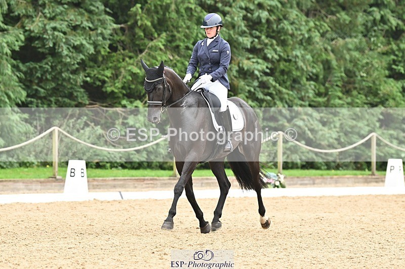 240811-120322-05332 - 118-Katie.Kneen-Springtime.Evergreen