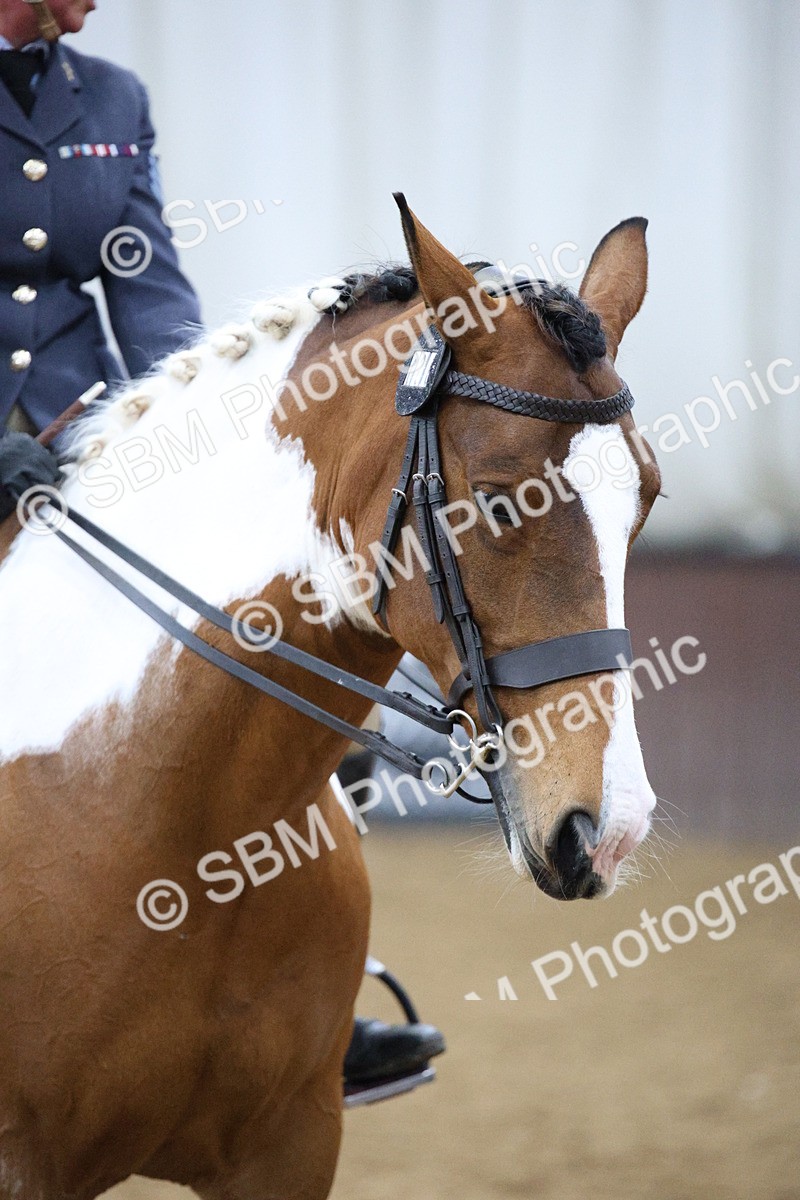 5K7A6105 - Class 48 - Ridden Mare
