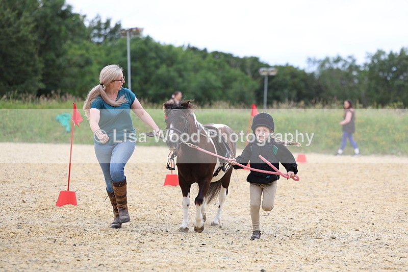 3E7A9482 - Walk trot run