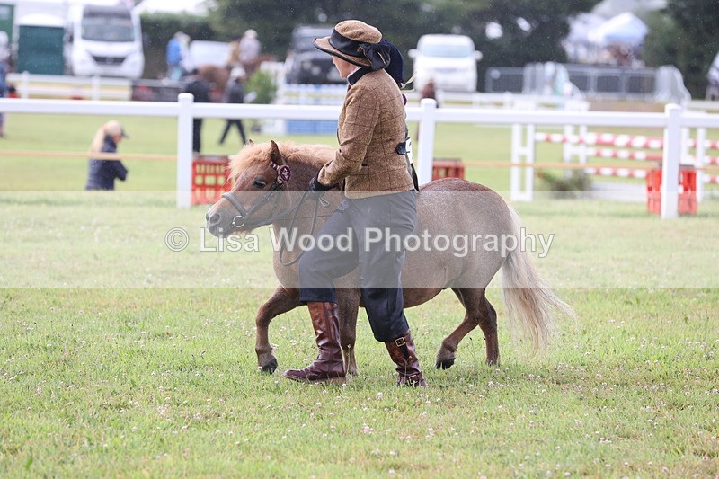 JPP_0387 - Class 14: Cornish Combination Leading Rein