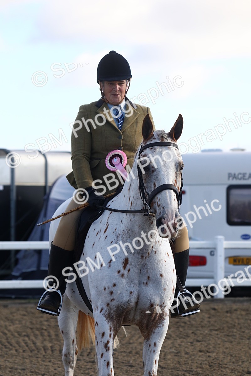 SBM_08609 - Class 502 - Riding Club Horse