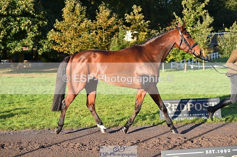 231022-091844-21690 - 650-NAOMIE.VAN.DE.BROUWERSHOEVE-Lara.Salter-TrotUp+SJ