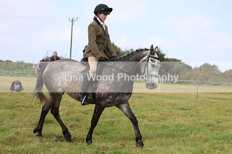 3E7A3990 - Class 4: Best Combination Open