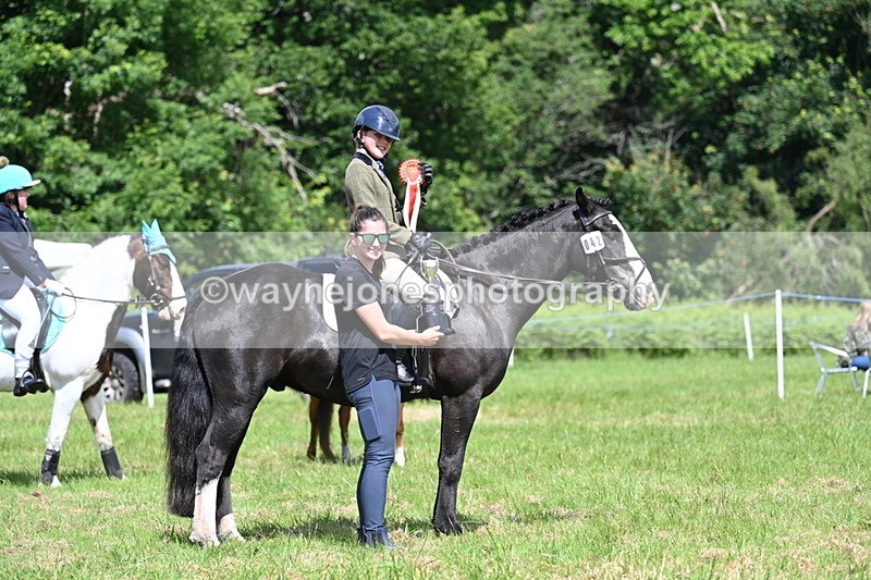 WJ7_1775 - Class 9 Pony Club Pony