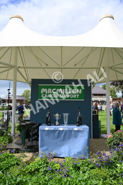yr11062022r2-101 - Race 2 2.00pm Queen Mother's Cup