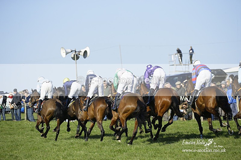 PtP 190322 703 - Wilton Hunt PtP Milborne St Andrew 19/03/22