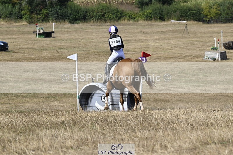 250824A-143233-38003 - 2164-Violet.Guerin-What's.his.name