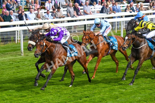 170523-Race 5-Dark Thirty-0698 - Race 5 4.10pm Conundrum HR Consulting Handicap