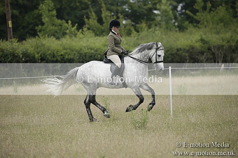 B230619-0524 - Bourne Valley Riding Club Summer Show 23/06/19