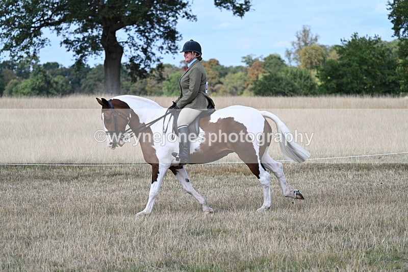 WJ7_6974 - Class 14 Ridden Coloured