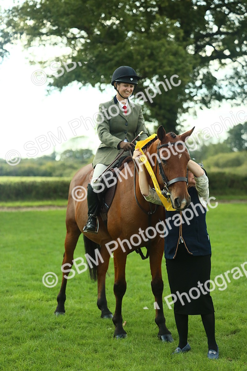 SBM_52208 - S33 - Working Hunter & Working Show Horse