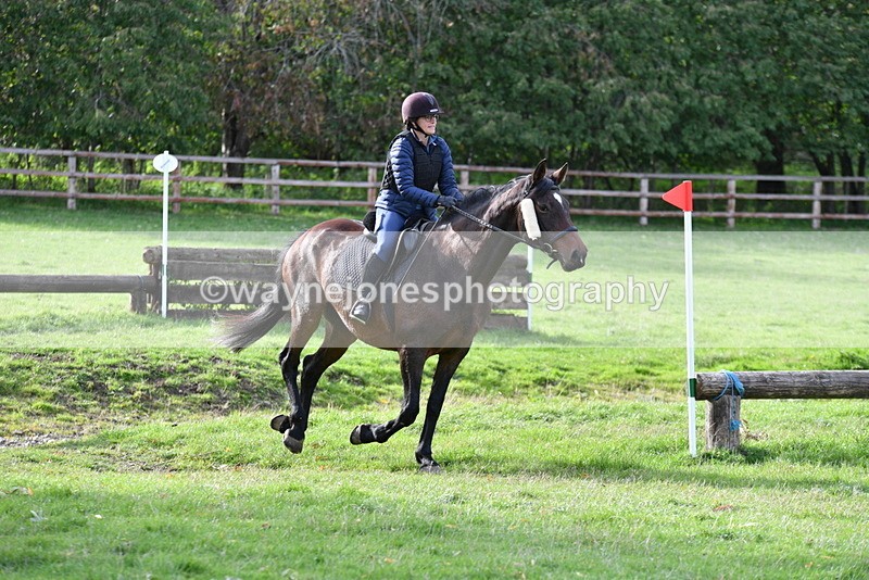 WJ5_1195 - Time 14:29 to 15:31