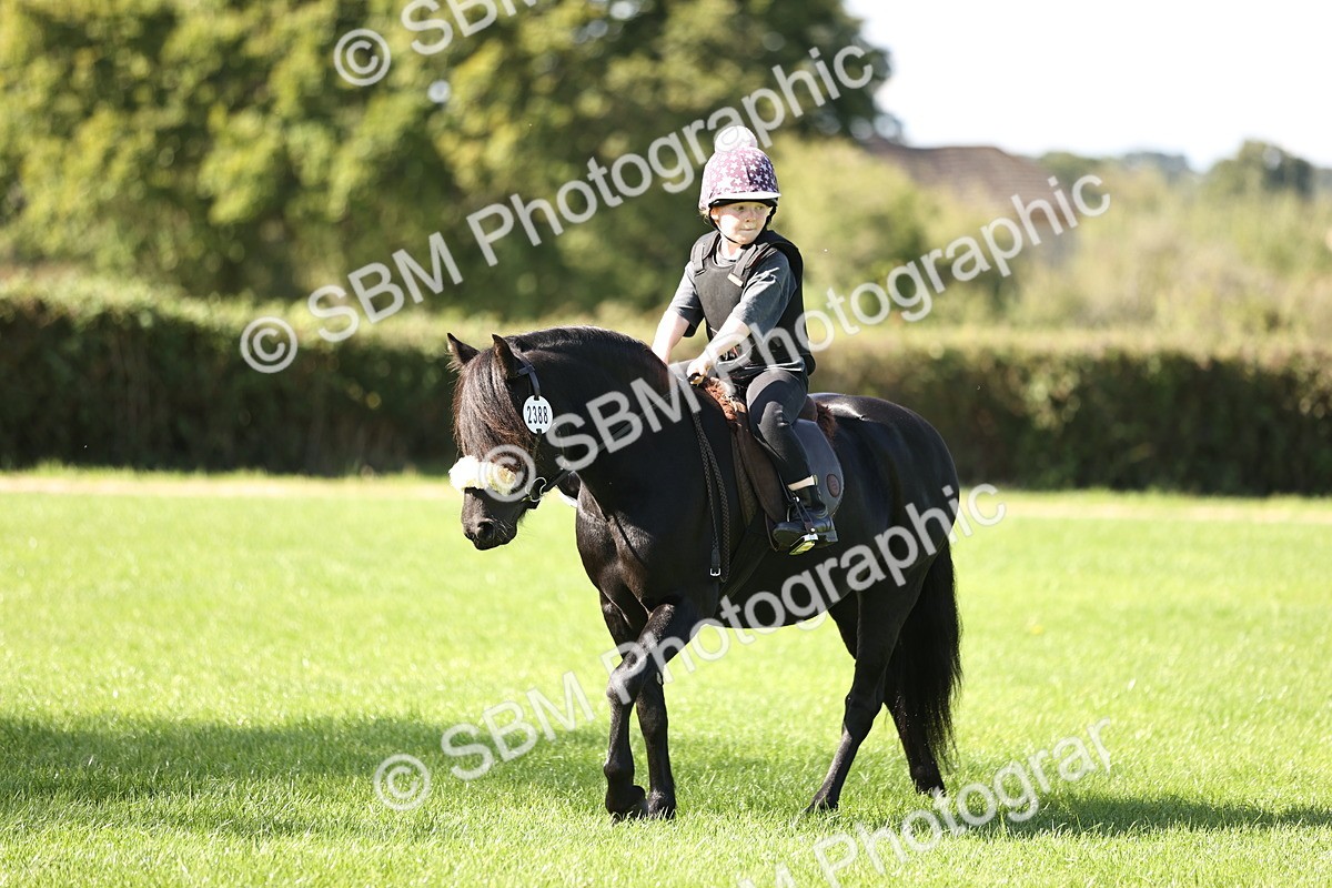 SBM_23086 - S4 - Have a Go at Working Equitation