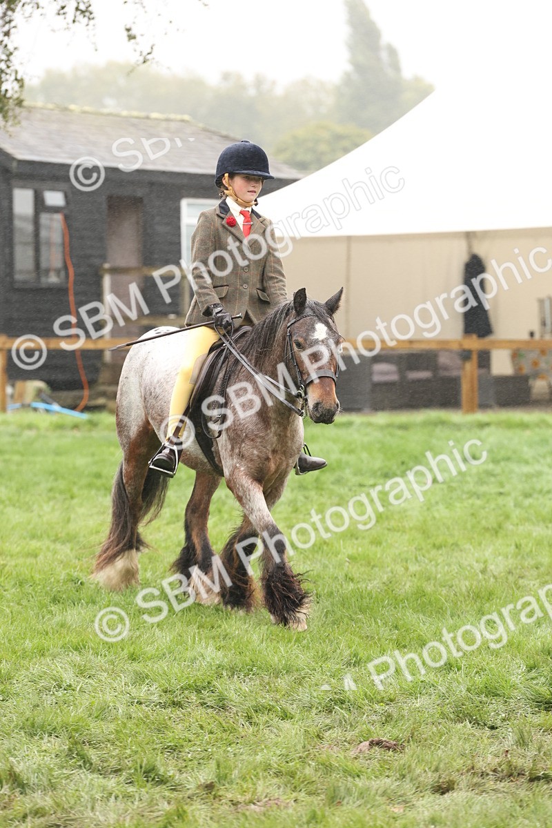 SBM_72836 - S70 - Traditional Cob Ridden