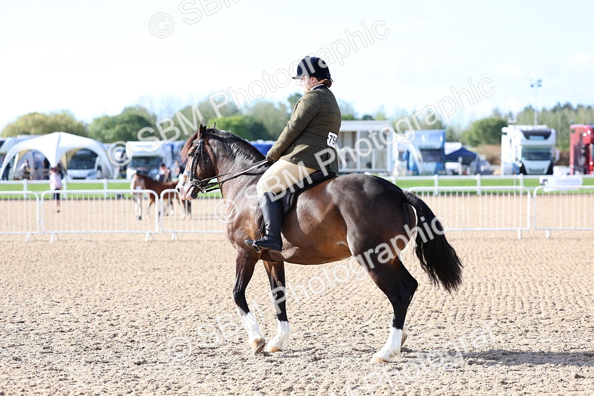 SBM_08920 - Class 302 - Ridden M&M - Large Breeds