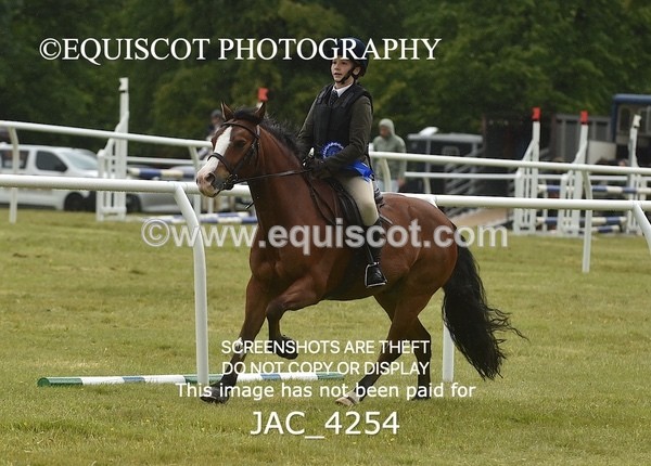 JAC_4254 - WORKING HUNTER CHAMPIONSHIP