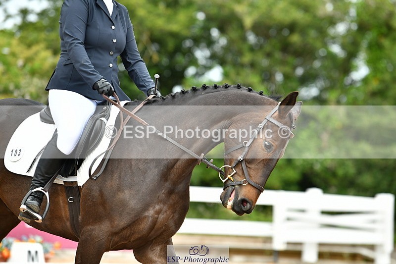 230702A-104151-08399 - Cls 23 Prelim 19