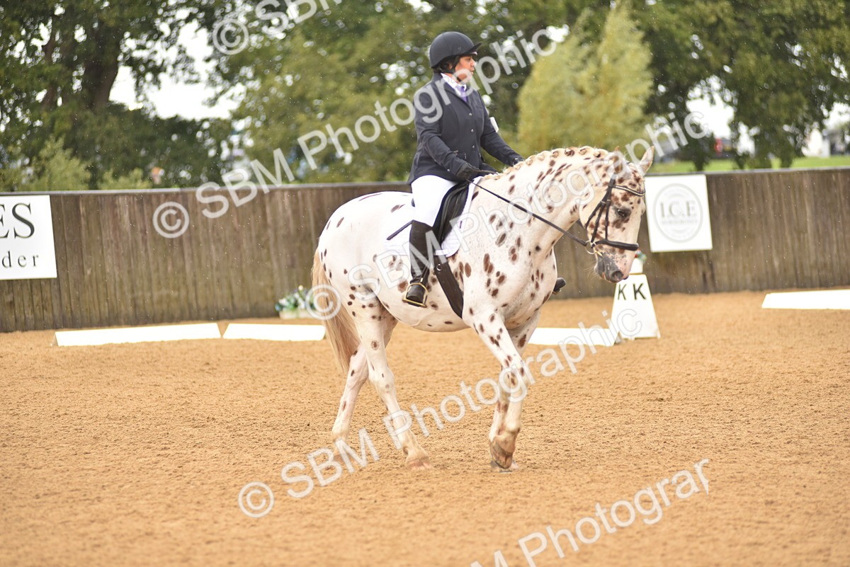 SBM_00394 - D7 - Small Tour Championship Prelim 2