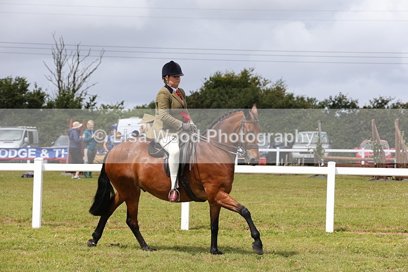 1X9A4236 - Plaited Ridden Championship