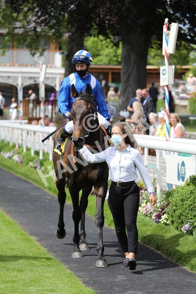 yr12062021r2-37 - Race 2 2.35pm The JCB Stakes