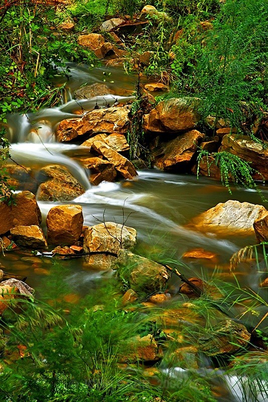 Morialta Stream1 - WATER - SALT OR FRESH PHOTOS