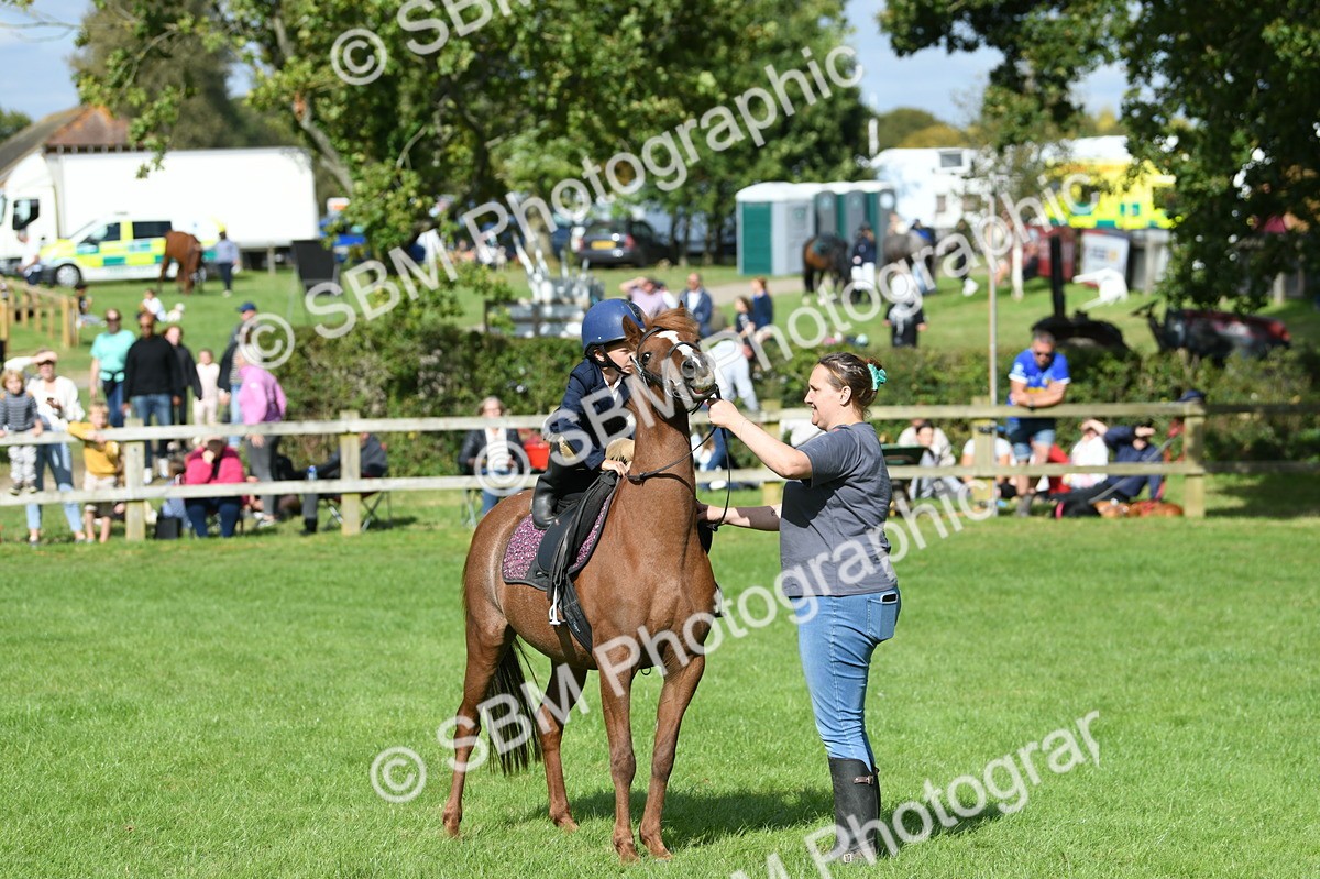 SBM_47159 - S12 - Family Horse & Pony