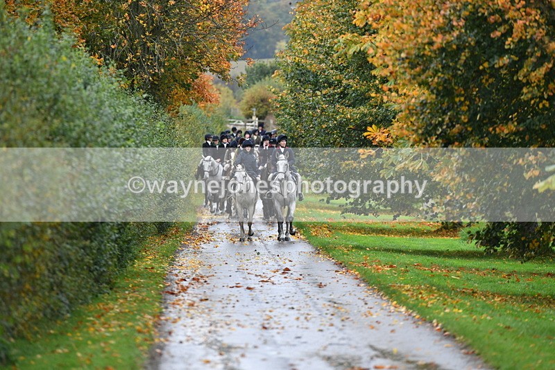 WJ5_6143 - B&B walk back for Hunt Tea !