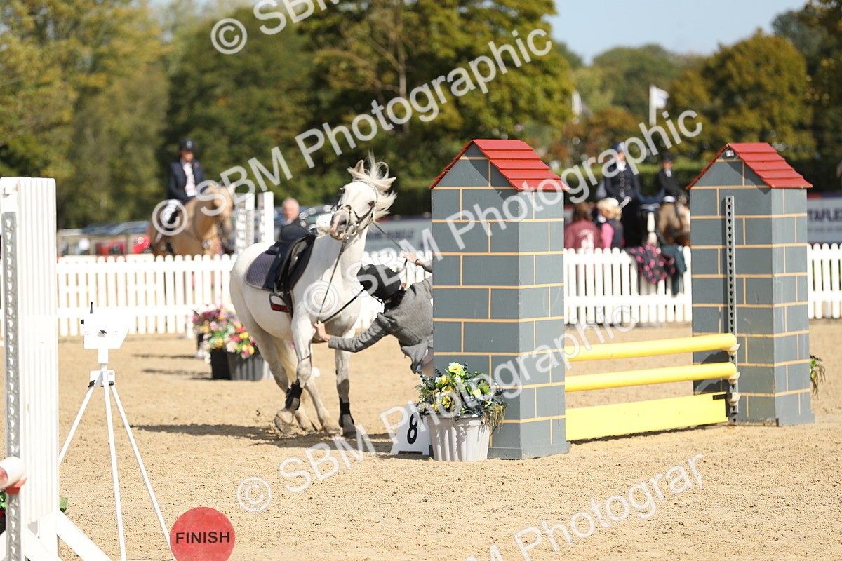 SBM_04665 - J28 - Senior Horse & Pony 60cm Championships