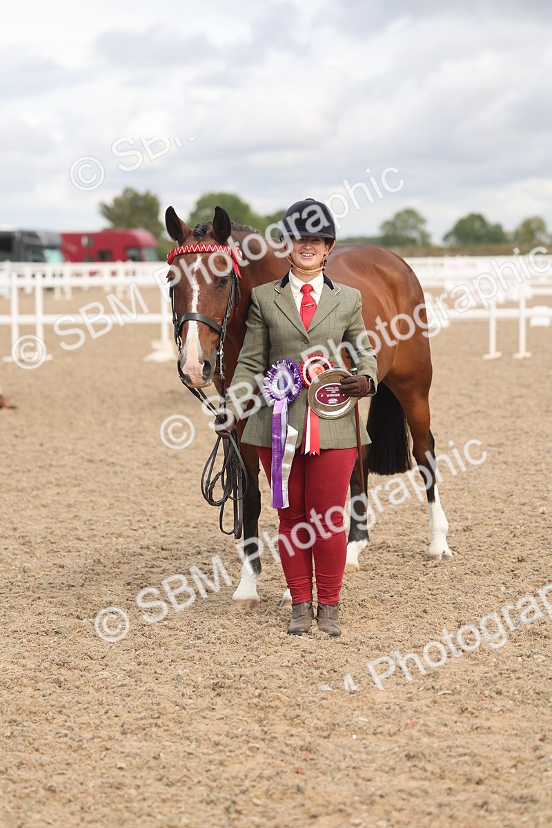 SBM_04493 - Class 18 - Handsomest Gelding (IH or Ridden)