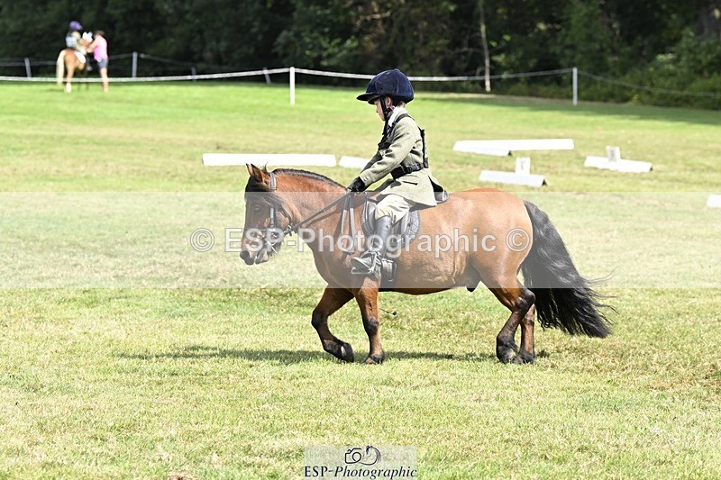 250822A-115643-22450 - DR 11.00 to 12.00