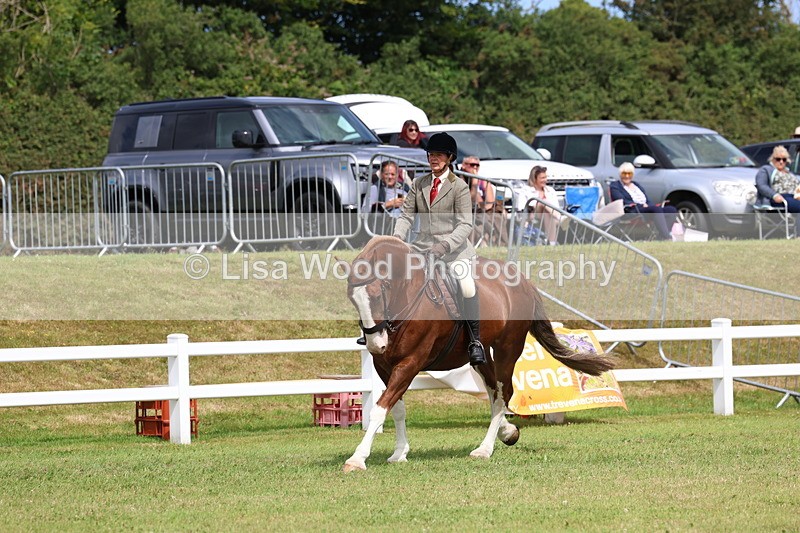 3E7A0291 - Class 6: Rising Star Maxi Cobs