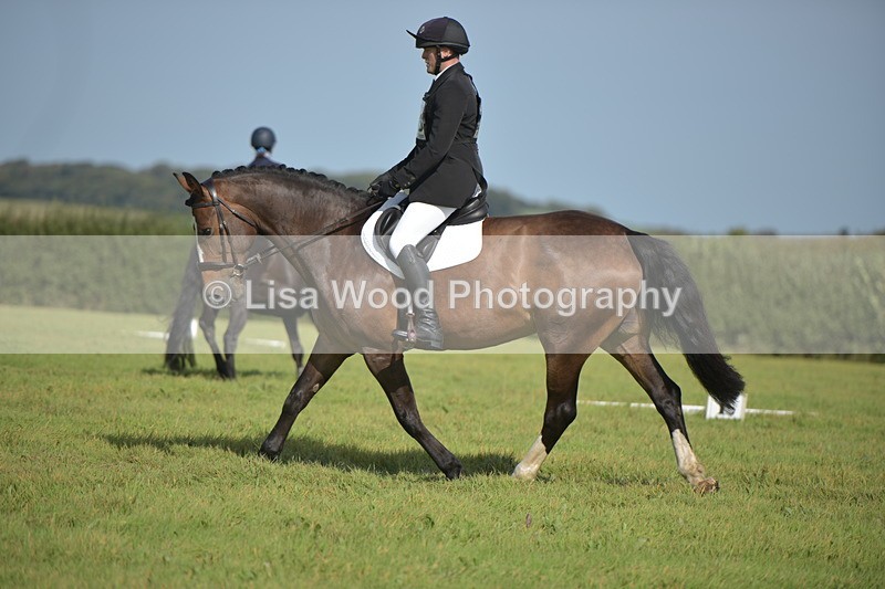 RAY_8036 - Class 2B: Trekenning Open: Dressage