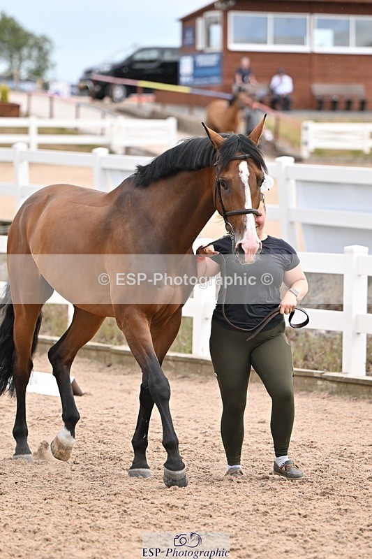 250716-151333-01792 - Trot Up 2.30 to 3.30