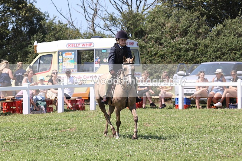 JPP_2310 - Class 20: Tiny Tots Working Hunter Pony