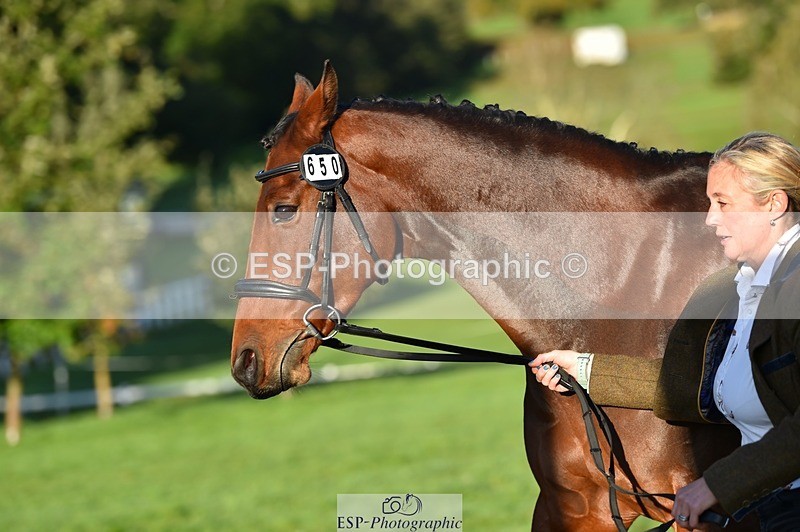 231022-091900-21695 - 650-NAOMIE.VAN.DE.BROUWERSHOEVE-Lara.Salter-TrotUp+SJ