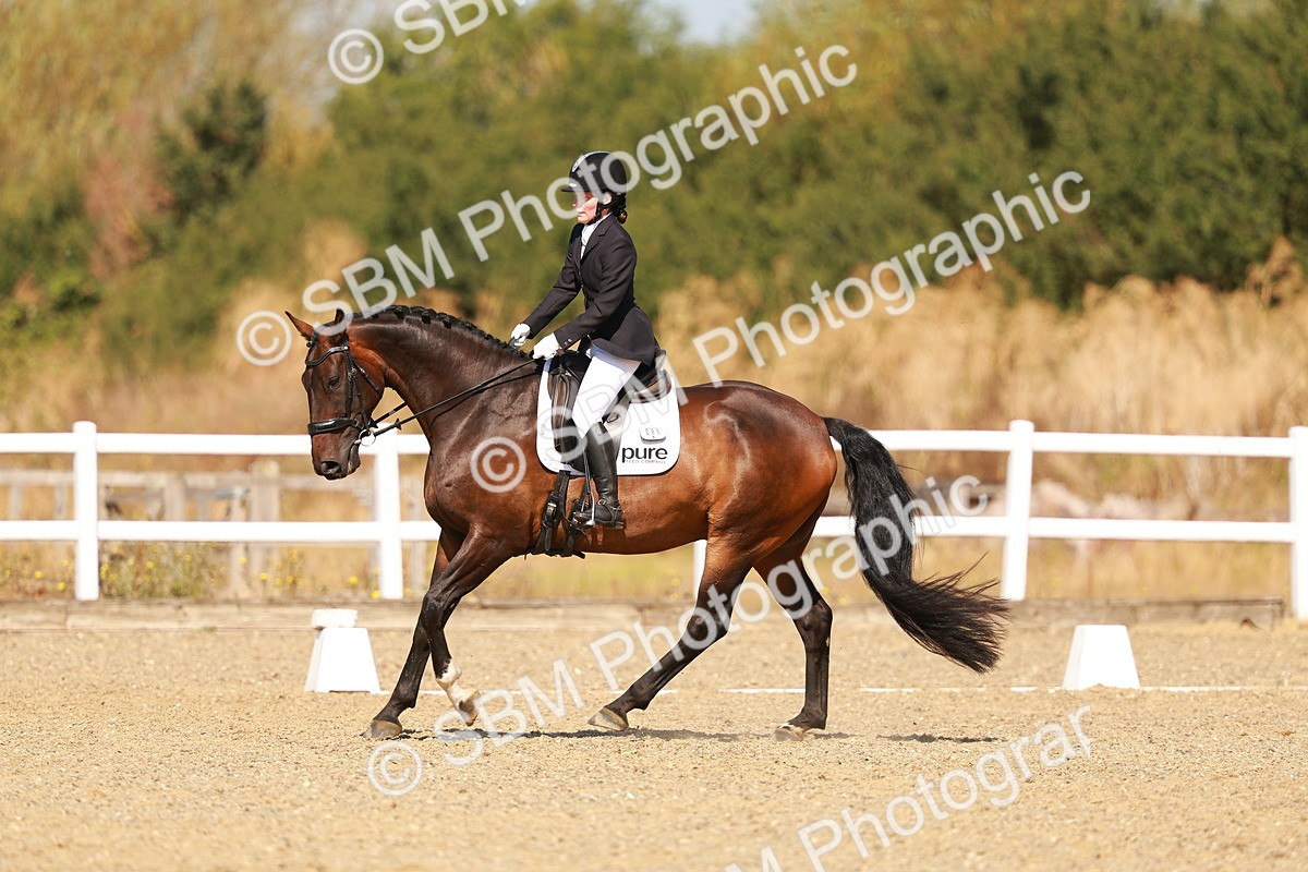 SBM_017697
