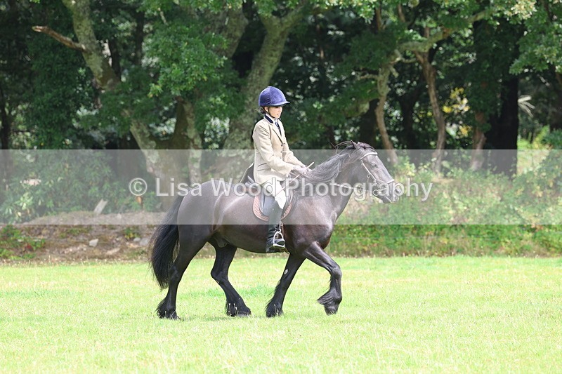 3E7A5837 - Class 26 and 27: 70cm Working Hunter