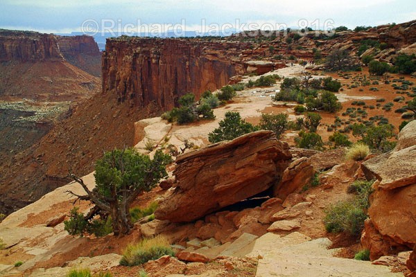The Plateau - Canyonlands National Park