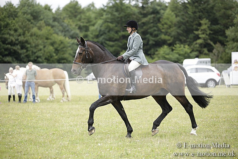 BVR160717-1555 - Ring 1 BVRC Show 16/07/17