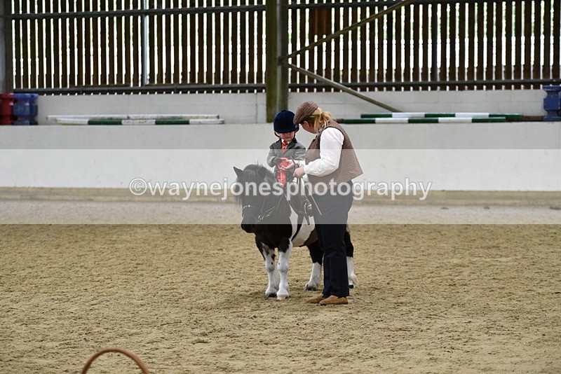 WJ5_7103 - Class 10 Childs Pony