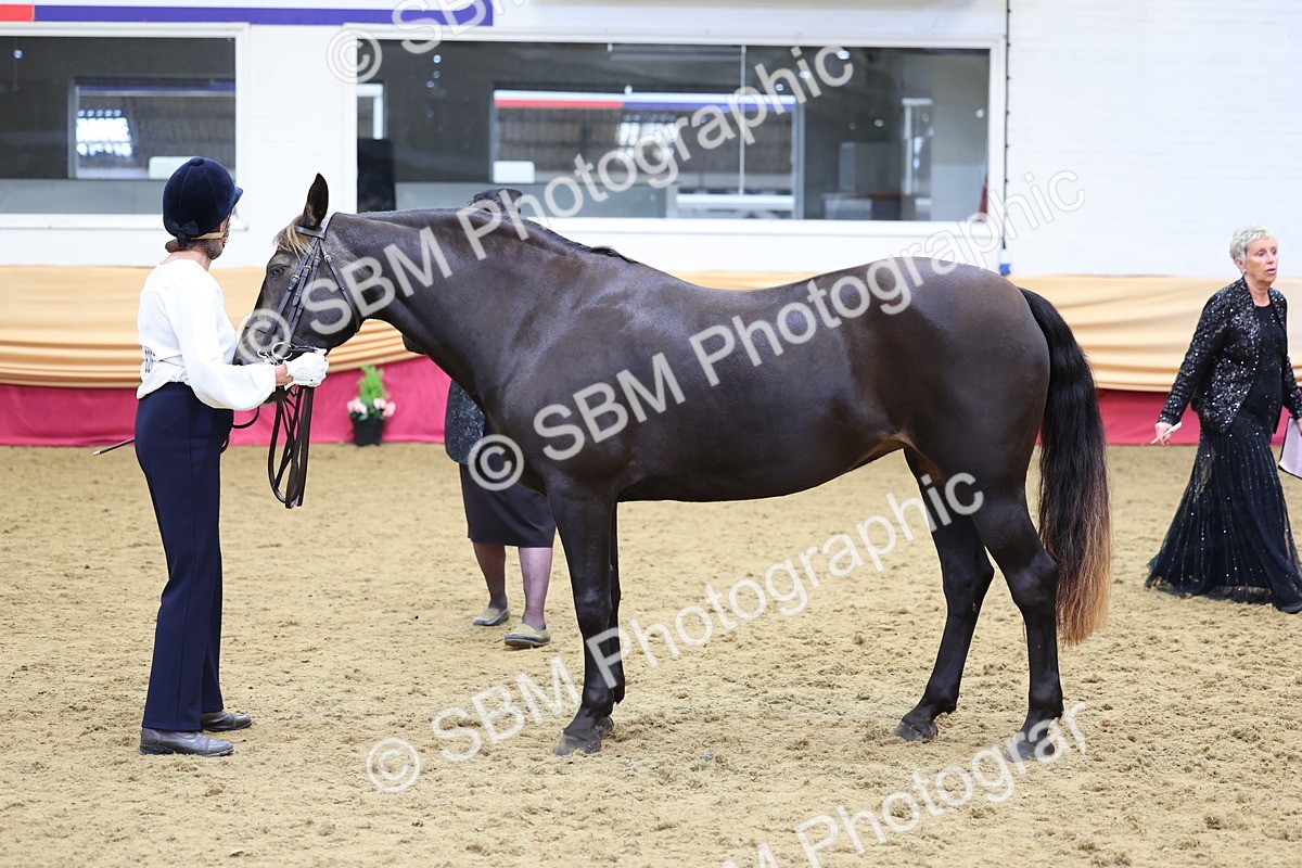 SBM_22882 - Class 903 - Supreme Final - IH Pre Vet