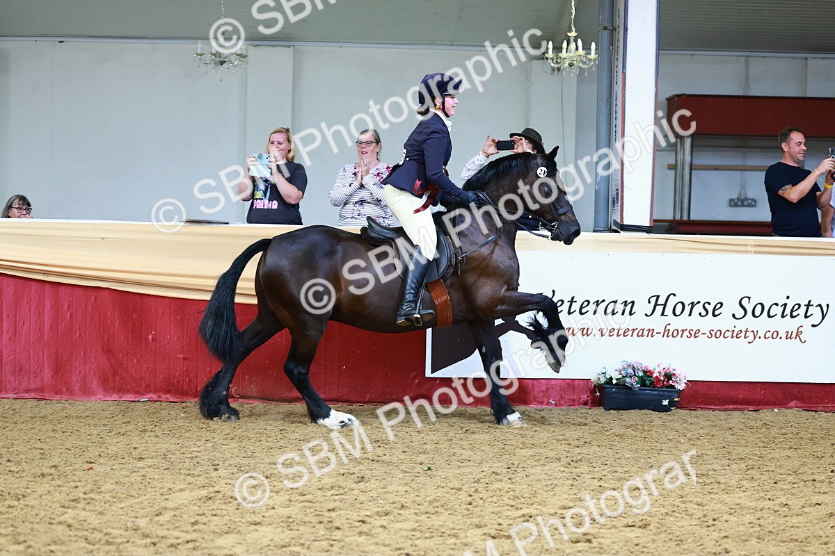 SBM_23231 - Class 905 - Supreme Final - Ridden Veteran
