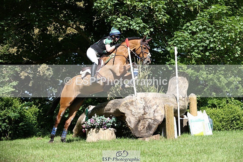 230527-095428-08275 - 206-MEXICAN_WAVE-Daisy_Bathe-XC